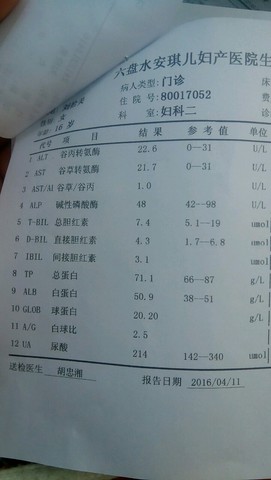journal_insert_pic_454036157