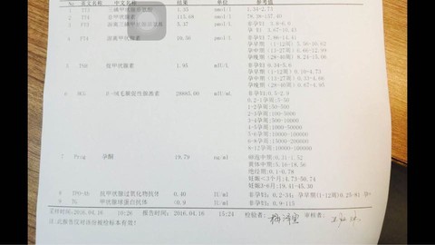 journal_insert_pic_454482280