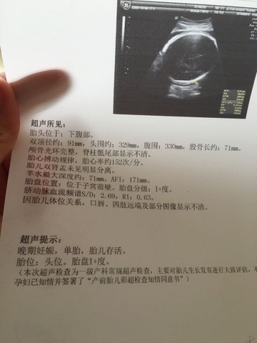 journal_insert_pic_455997032