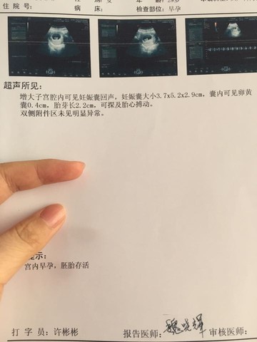 journal_insert_pic_455784714
