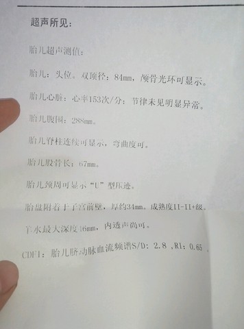 journal_insert_pic_455966656