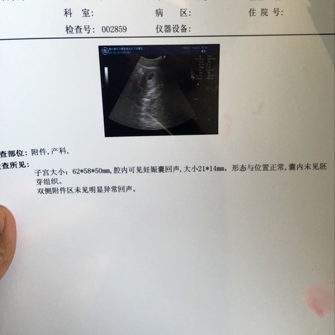 journal_insert_pic_456533388