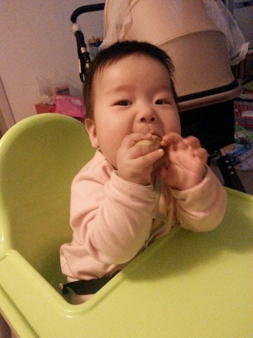 journal_insert_pic_456669435