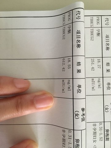 journal_insert_pic_456852316