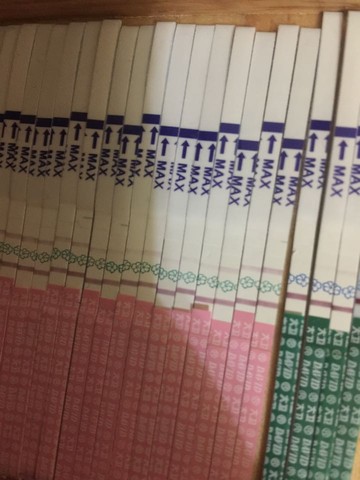 journal_insert_pic_456954547