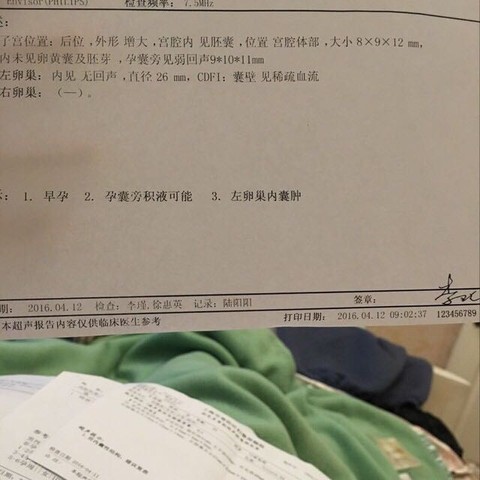 journal_insert_pic_457592403