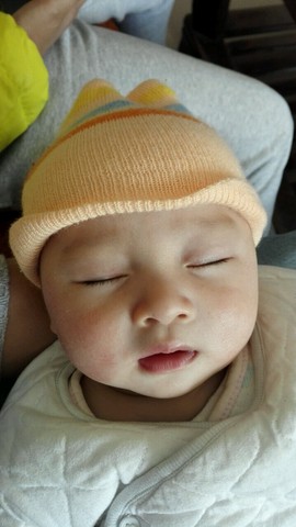 journal_insert_pic_458672546