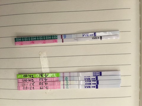 journal_insert_pic_458607834