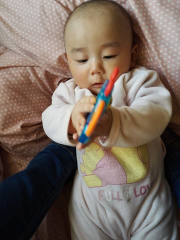 journal_insert_pic_458158023