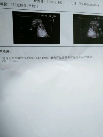 journal_insert_pic_458203549