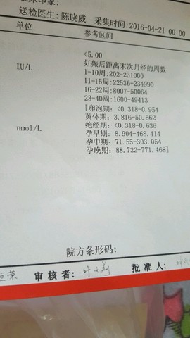 journal_insert_pic_459237224