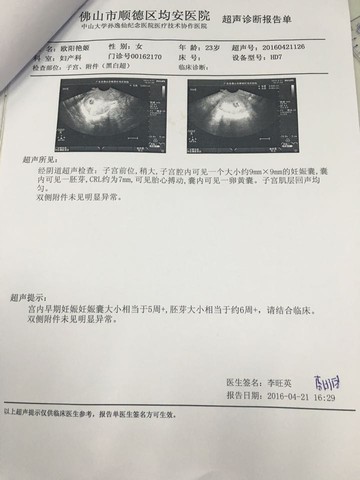 journal_insert_pic_460115009