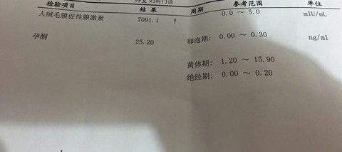 journal_insert_pic_460009790