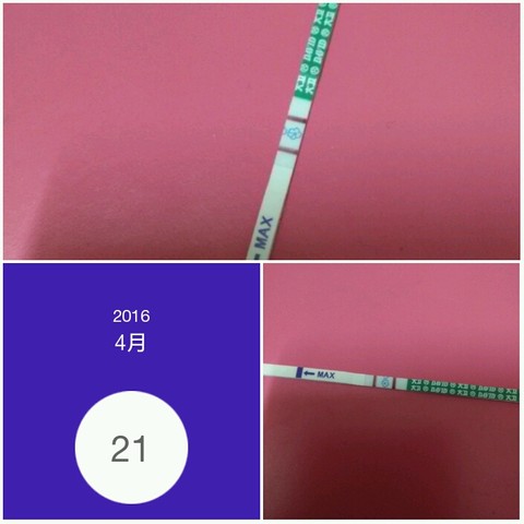 journal_insert_pic_460015214