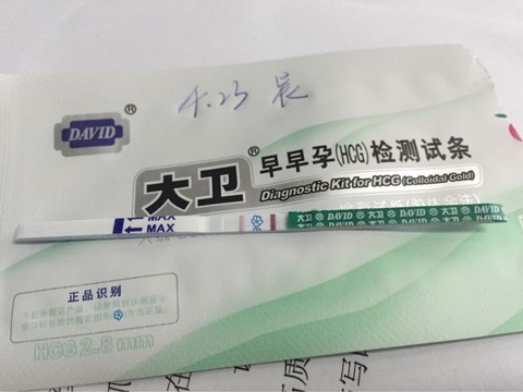 journal_insert_pic_459674486