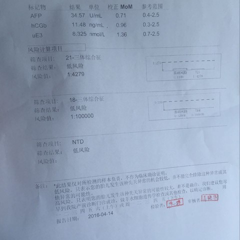 journal_insert_pic_459779725