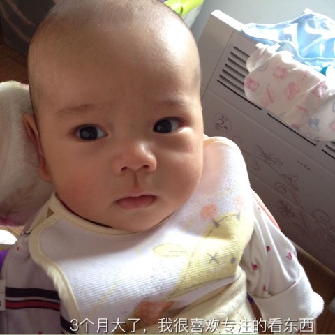 journal_insert_pic_460570933
