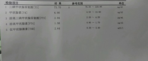 journal_insert_pic_460818126