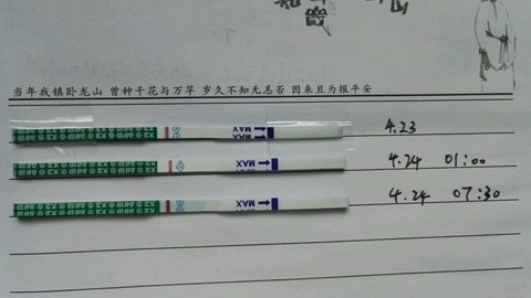 journal_insert_pic_460449651