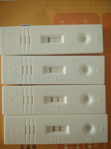 journal_insert_pic_461365266