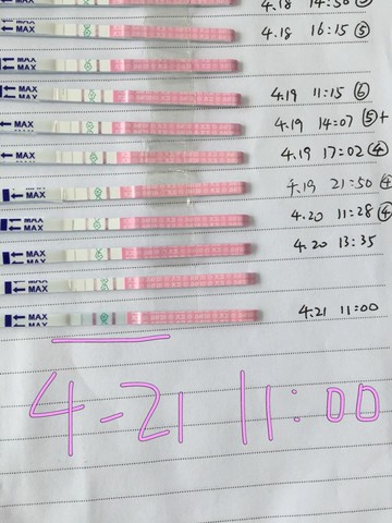 journal_insert_pic_461513785
