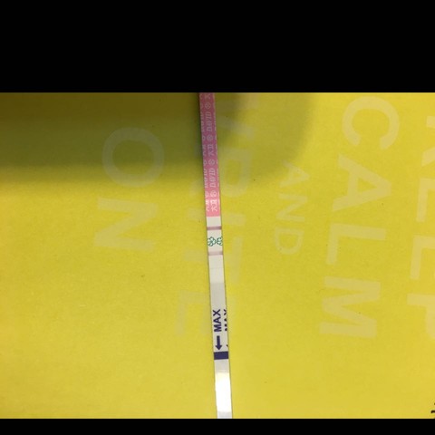 journal_insert_pic_461973648