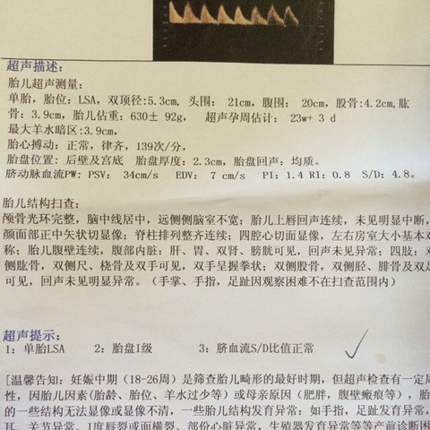journal_insert_pic_461694162