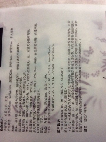 journal_insert_pic_463391589