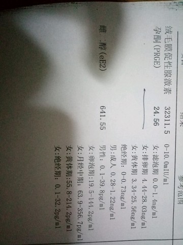 journal_insert_pic_463161832