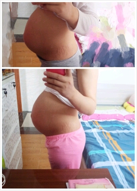 journal_insert_pic_463269850