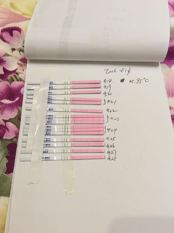 journal_insert_pic_464538008