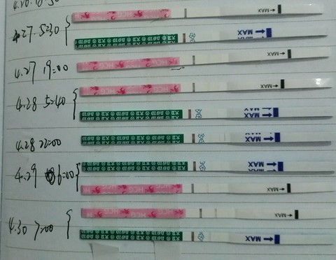 journal_insert_pic_466174169