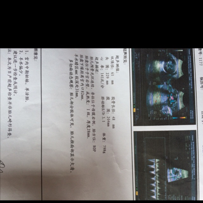 journal_insert_pic_465704908