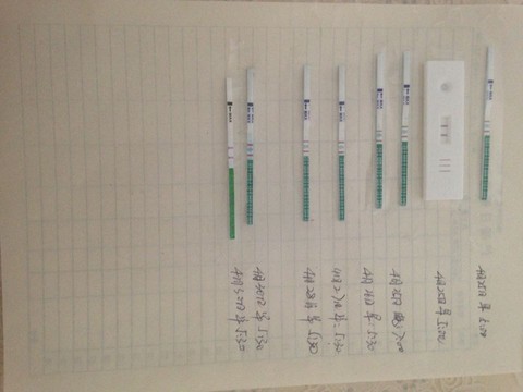 journal_insert_pic_465553431
