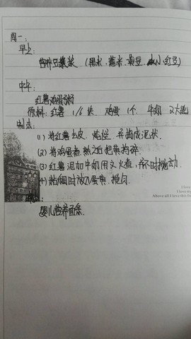 journal_insert_pic_466707714