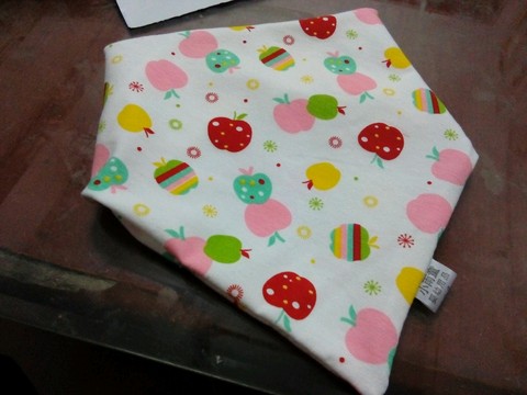 journal_insert_pic_467644078