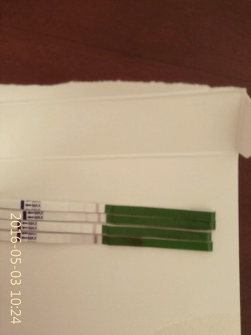 journal_insert_pic_468087231