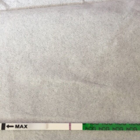 journal_insert_pic_468196595