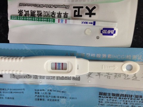 journal_insert_pic_468624457