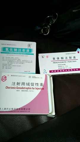 journal_insert_pic_469335447