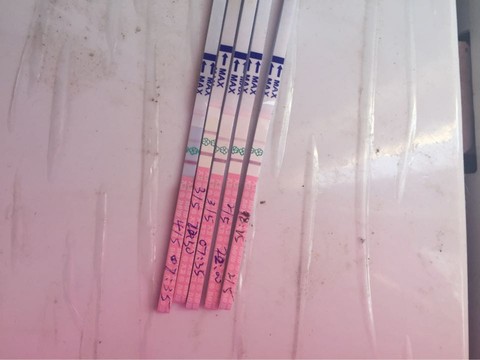 journal_insert_pic_469287387