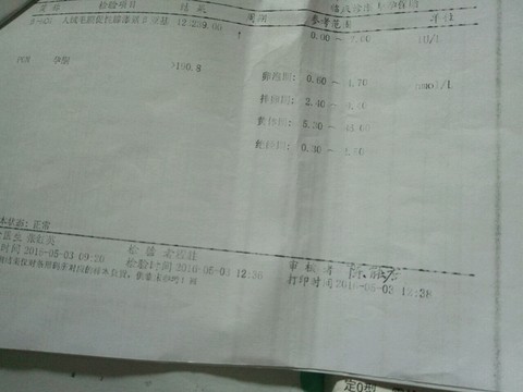 journal_insert_pic_470321188