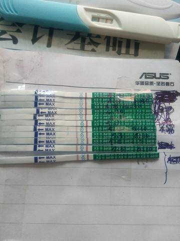 journal_insert_pic_471063265