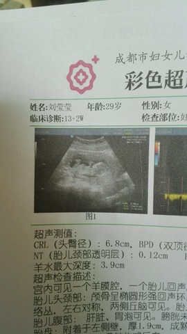 journal_insert_pic_471147596