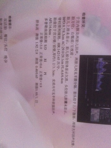 journal_insert_pic_471995126