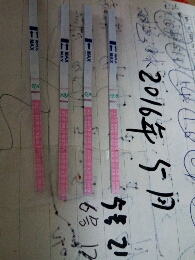 journal_insert_pic_472582204