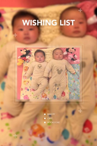 journal_insert_pic_472513354