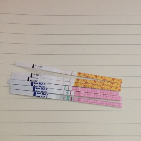 末次月经4月24左右_末次月经46124左右的,大家试纸强阳了_宝宝树