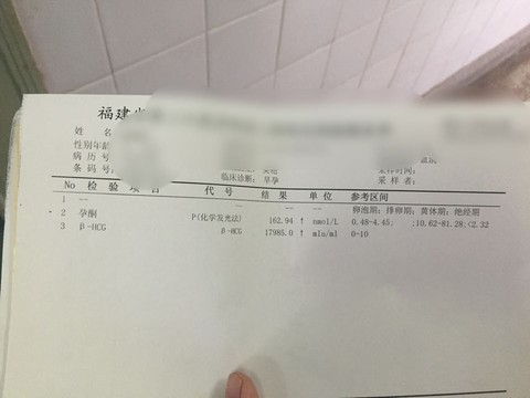 journal_insert_pic_473878788