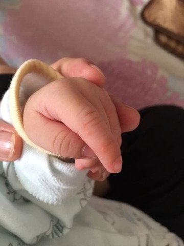 journal_insert_pic_473625515
